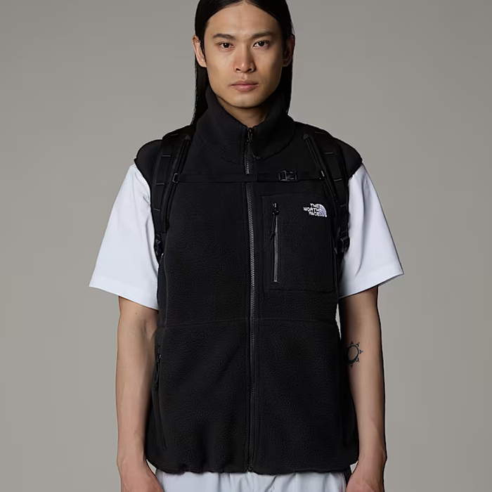 THE NORTH FACE BASE CAMP VOYAGER DAYPACK NF0A81DM / ザ